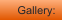 Gallery: